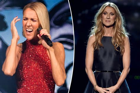 celine show cancelled|celine dion concert cancelled.